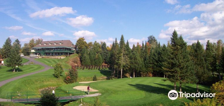 Things to Do in Alfred and in 2024 Top Attractions, Local