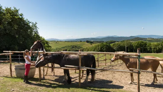 Borgo Pignano Horseback Riding