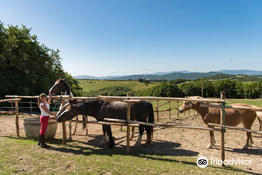 Borgo Pignano Horseback Riding