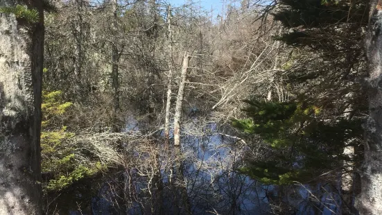 Porters Lake Provincial Park