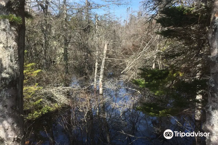 Porters Lake Provincial Park