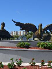 Brown Pelicans