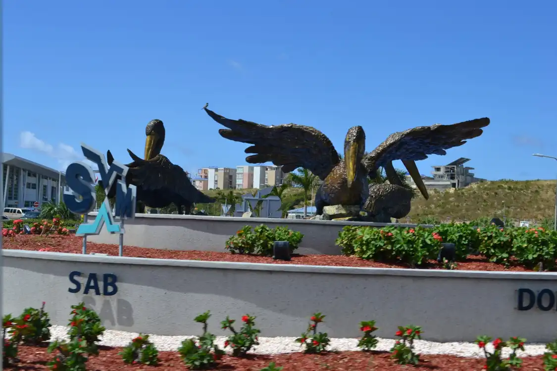 Hotels near Brown Pelicans