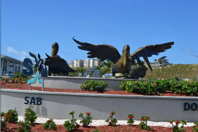 Hotels near Brown Pelicans