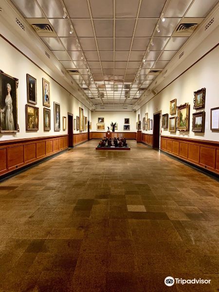 Dallas to Laurel flight