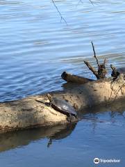 Landsford Canal State Park