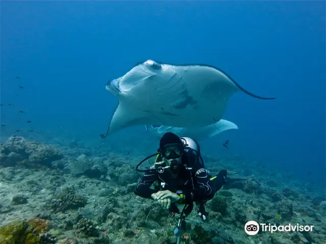 Diving in Koh Chang