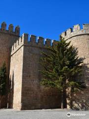 Castillo de Orgaz