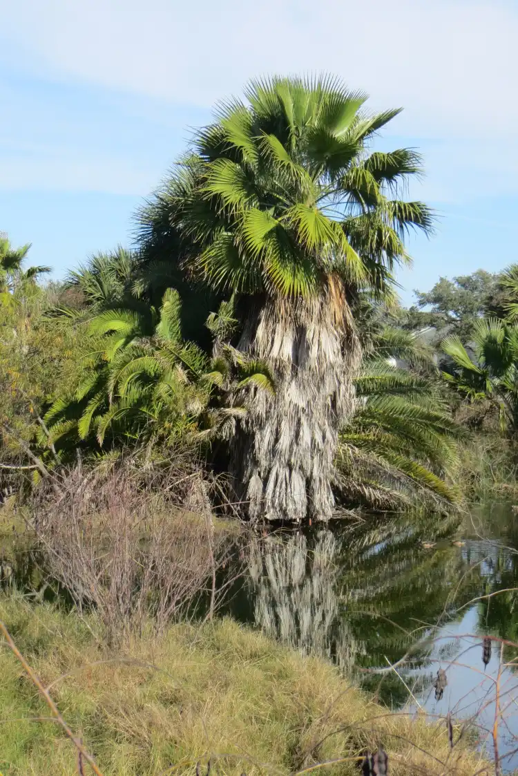 Hotels near Rockport Demo Bird Garden & Wetlands Pond