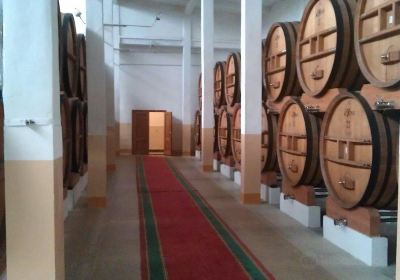 KVINT Wine & Cognac Distillery