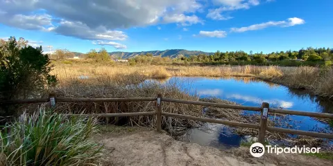 Ojai Meadows Preserve