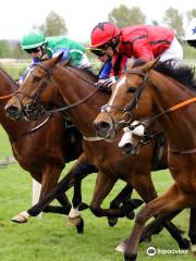 Limerick Racecourse