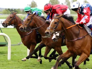 Limerick Racecourse