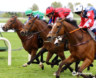 Limerick Racecourse