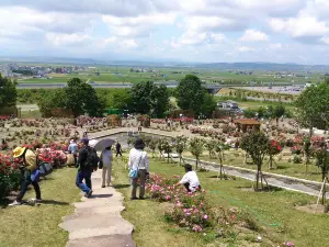 Rose Garden Chippubetsu