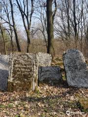 Jewish Cemetery in Szczebrzeszyn