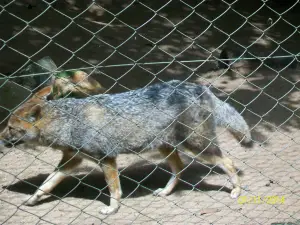 Minizoo - Zoológico Municipal de Canoas