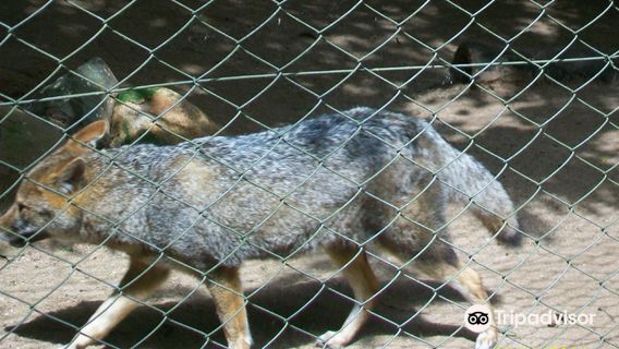 Minizoo - Zoológico Municipal de Canoas