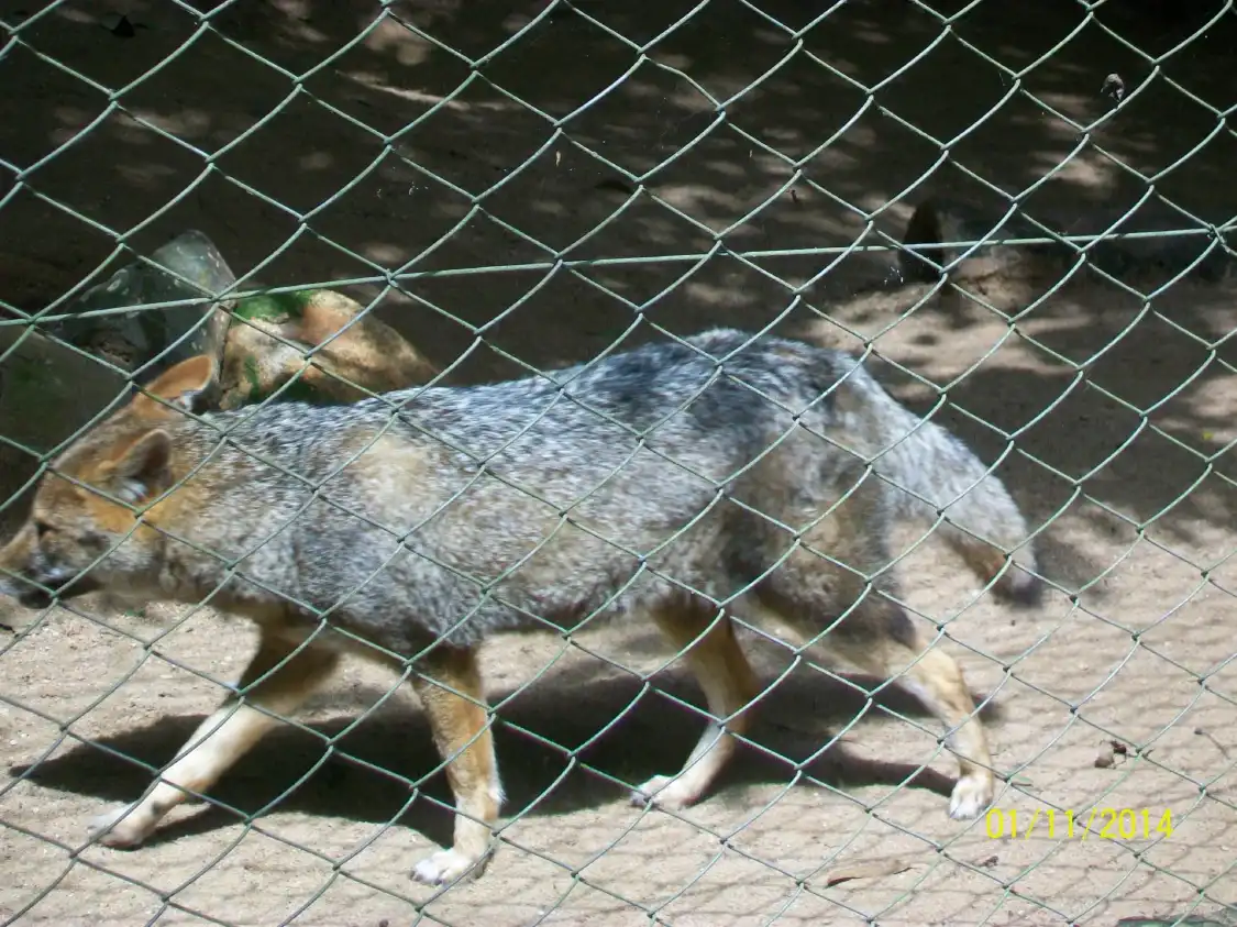 Hotels near Minizoo - Zoológico Municipal de Canoas