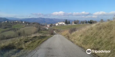 Azienda Agricola Apicoltura Willy di Willy Genny Marcella