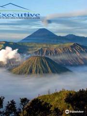 Bromo Executive