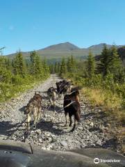 Wildthingz Dog Mushing （Summer）