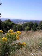 Mallanganee National Park