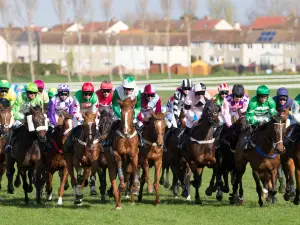 Ayr Racecourse