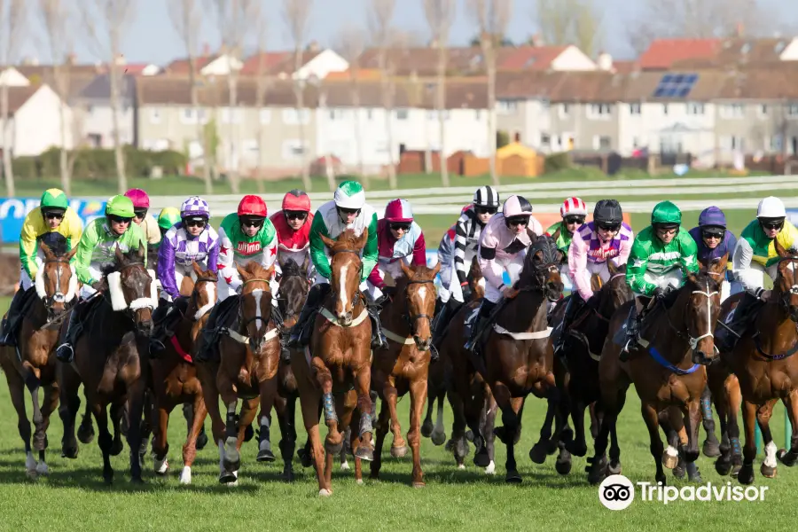 Ayr Racecourse