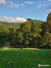 The North Carolina Arboretum