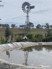 Darling Downs Zoo