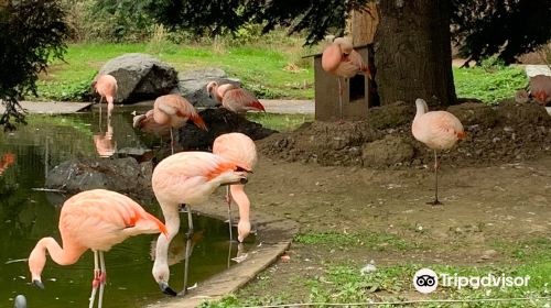 Sequoia Park Zoo