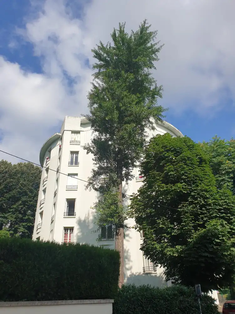 Hotels near Chalets de Bizillon