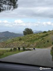 Aventúrate Sierra de las Nieves