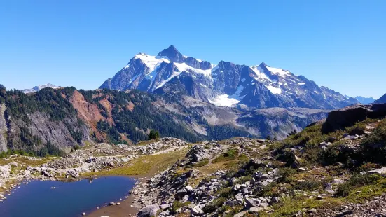 Mt Baker Ski Area