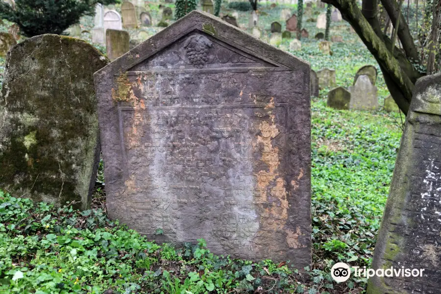 Old Jewish cemetery in Kolín