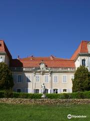 Château de Vaudieu