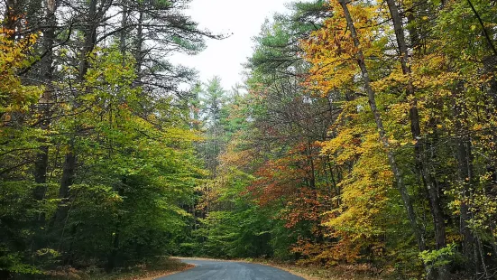 Bear Brook State Park