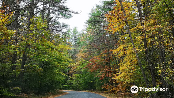 Bear Brook State Park