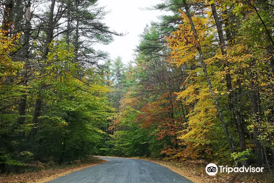 Bear Brook State Park