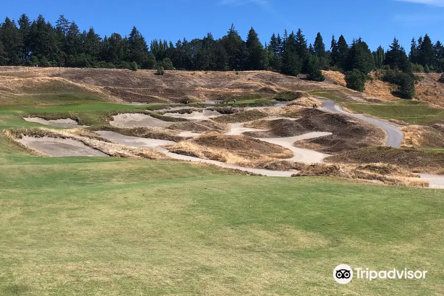 Chambers Bay Golf Course