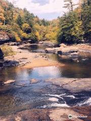 Swallow Falls State Park