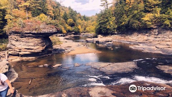Swallow Falls State Park