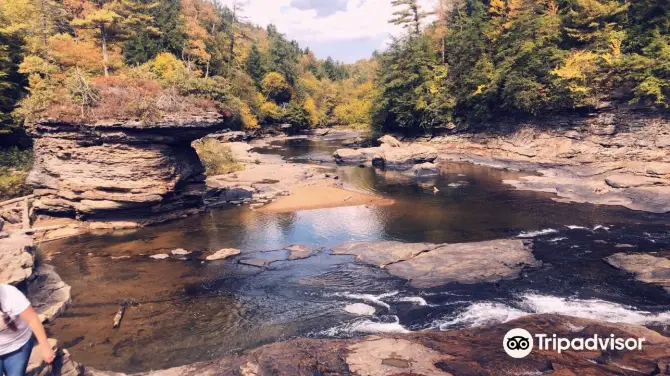 1_Swallow Falls State Park