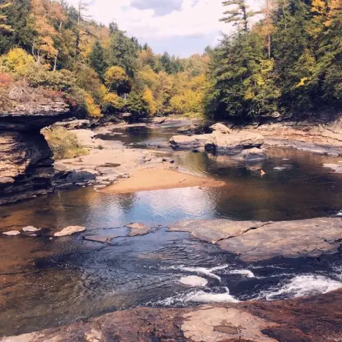 Swallow Falls State Park