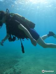 Dive Point Cyprus