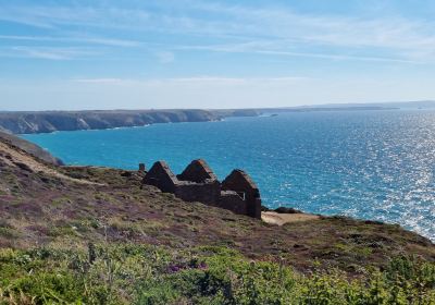 Wheal Coates