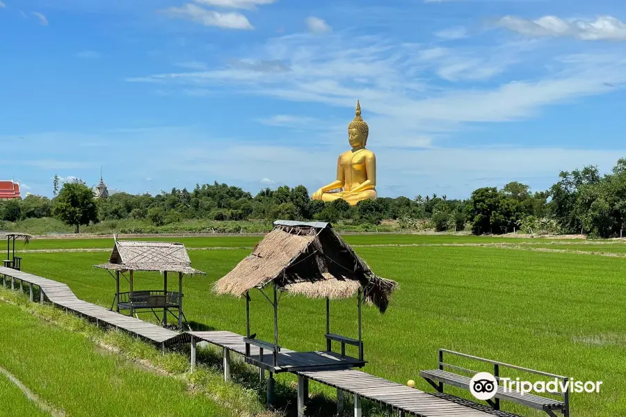 Wat Muang