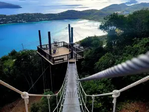 Tree Limin' Extreme Zipline St. Thomas