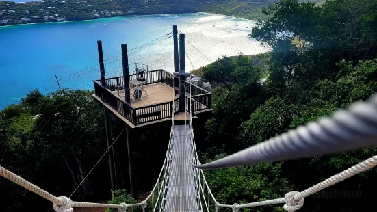 Tree Limin' Extreme Zipline St. Thomas